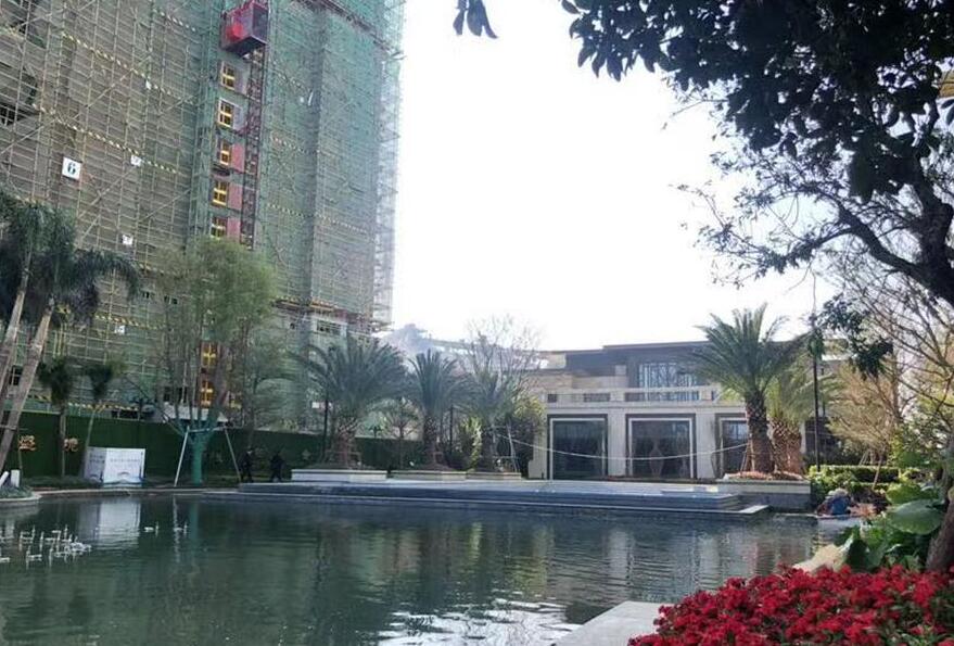 实景图