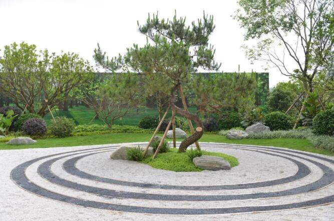 实景图
