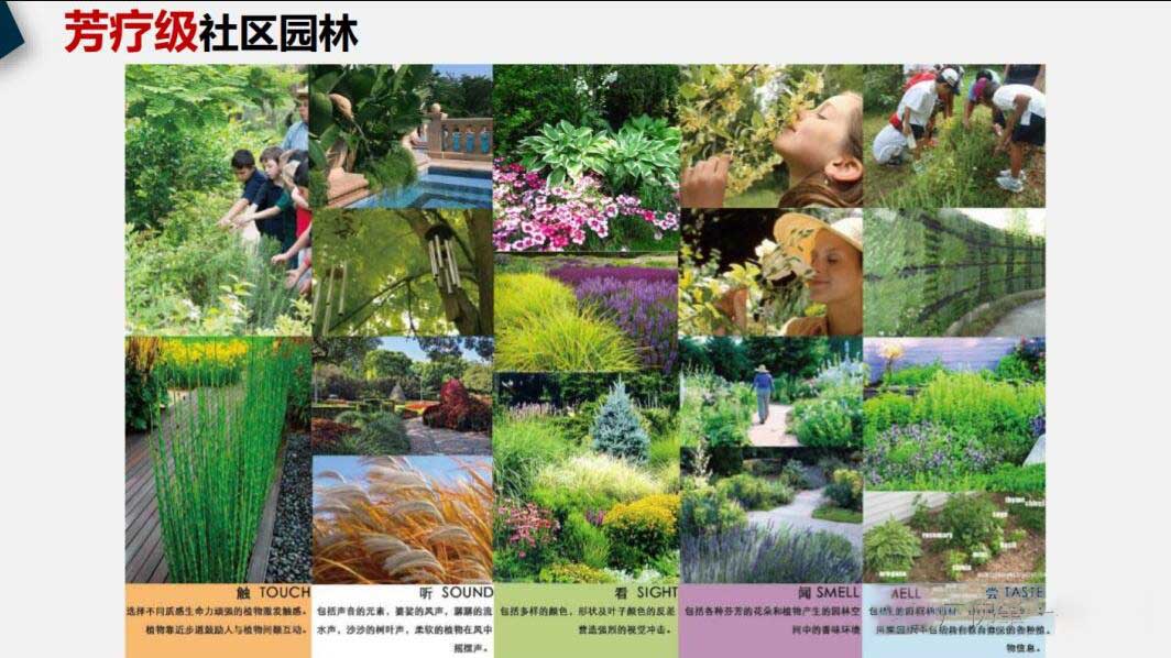 配套图