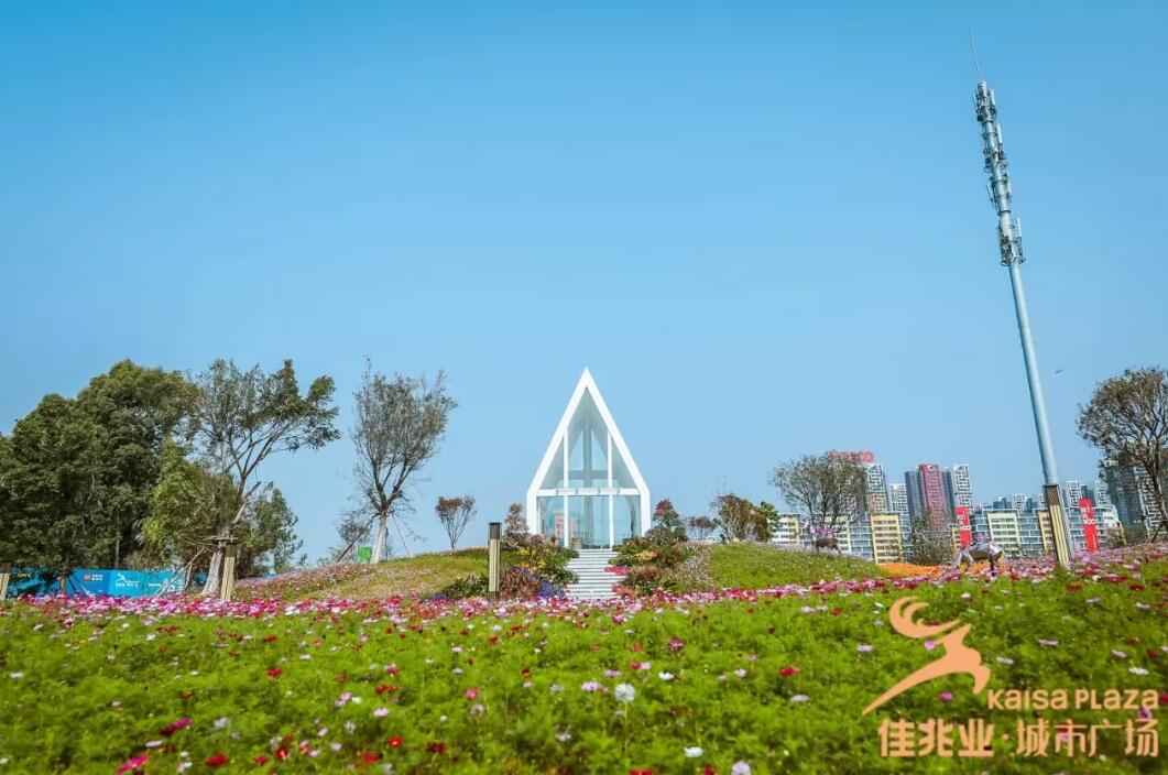 实景图