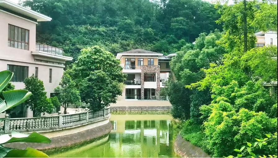 实景图