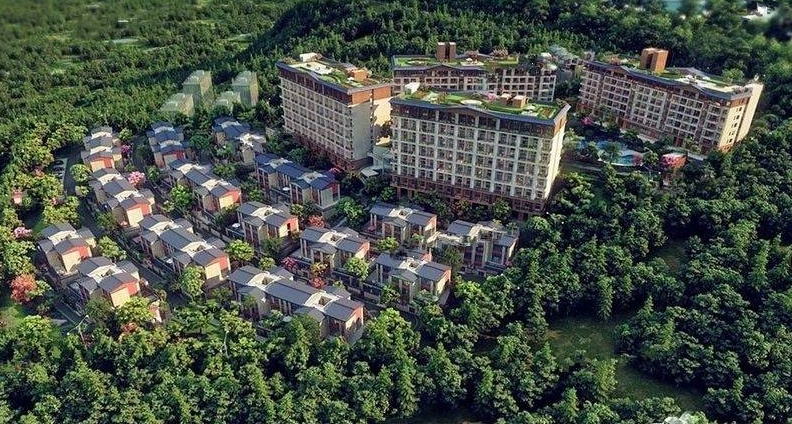 实景图