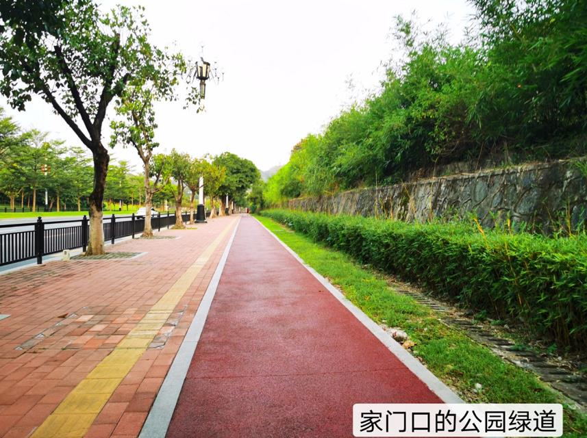 实景图