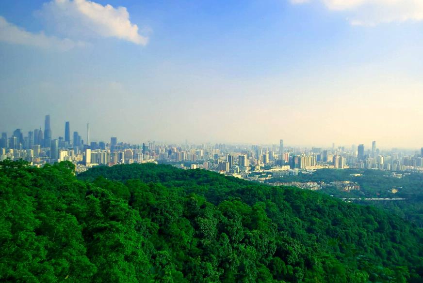 实景图